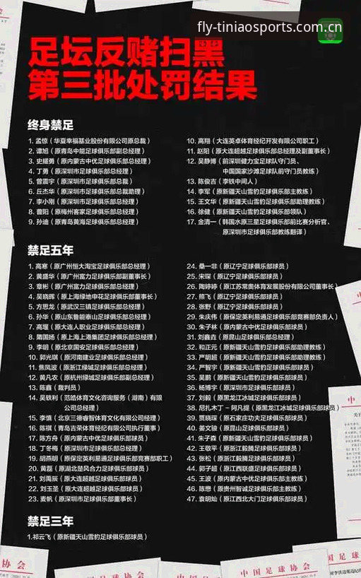 小鸟体育客服 足协第三批禁足名单解读:通过小鸟体育平台追踪中国足球最新动态的完整指南